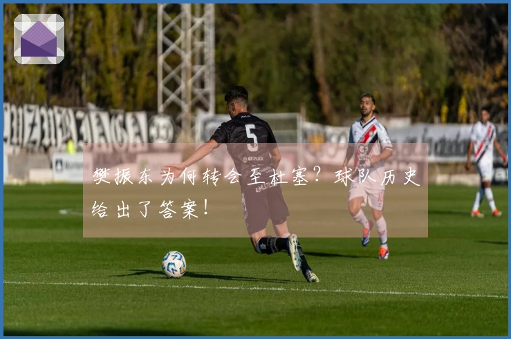 樊振东为何转会至杜塞？球队历史给出了答案！