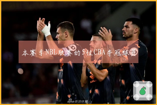 本赛季NBL联赛的5位CBA夺冠球员