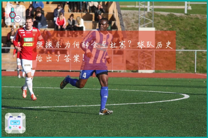 樊振东为何转会至杜塞？球队历史给出了答案！